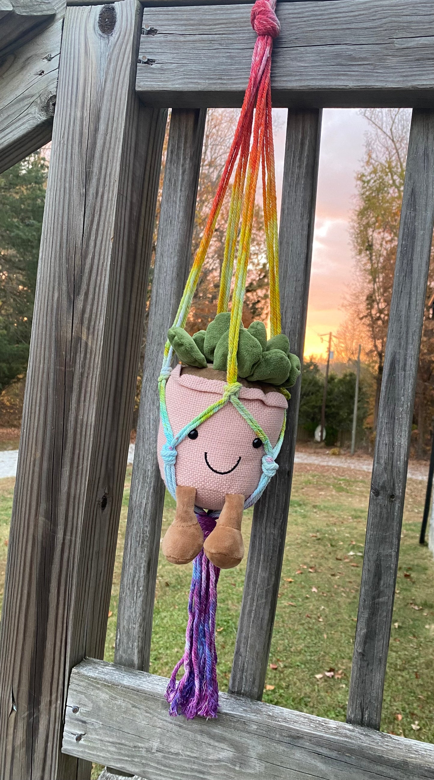 Hanging Potted Plant holder Rainbow