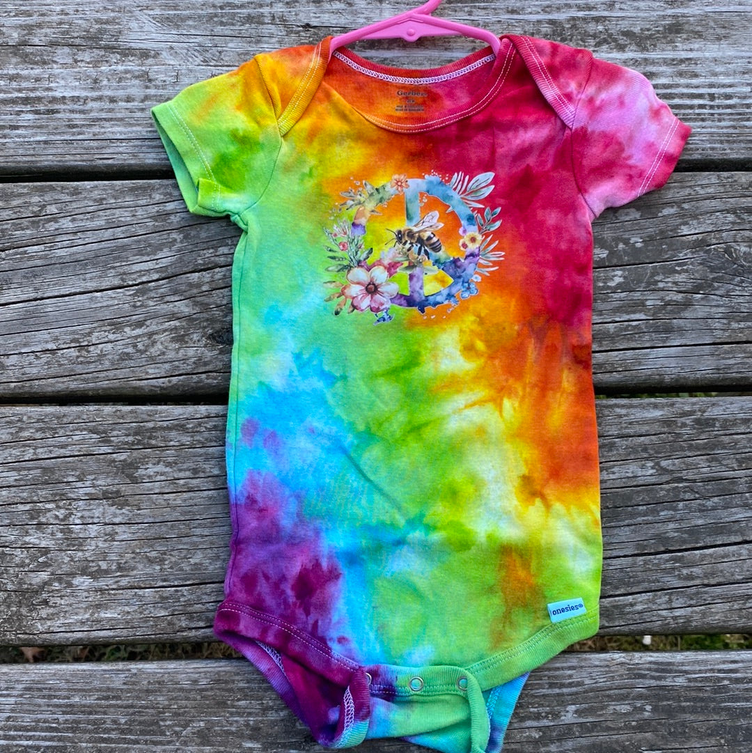Gerber 24 month baby bodysuit (rainbow guess what chicken butt)