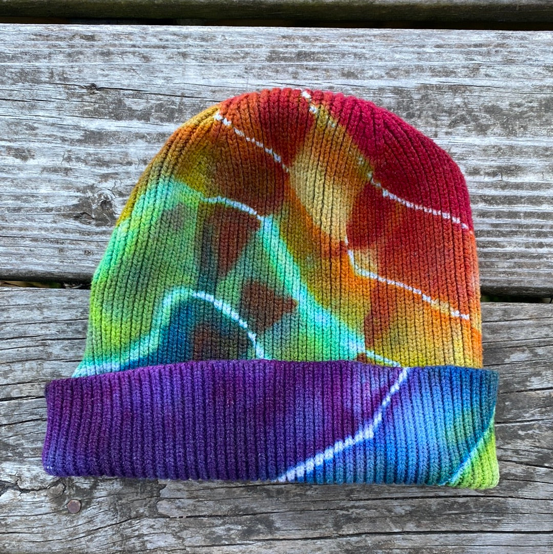 Gap adult organic cotton beanie (40 color rainbow design)