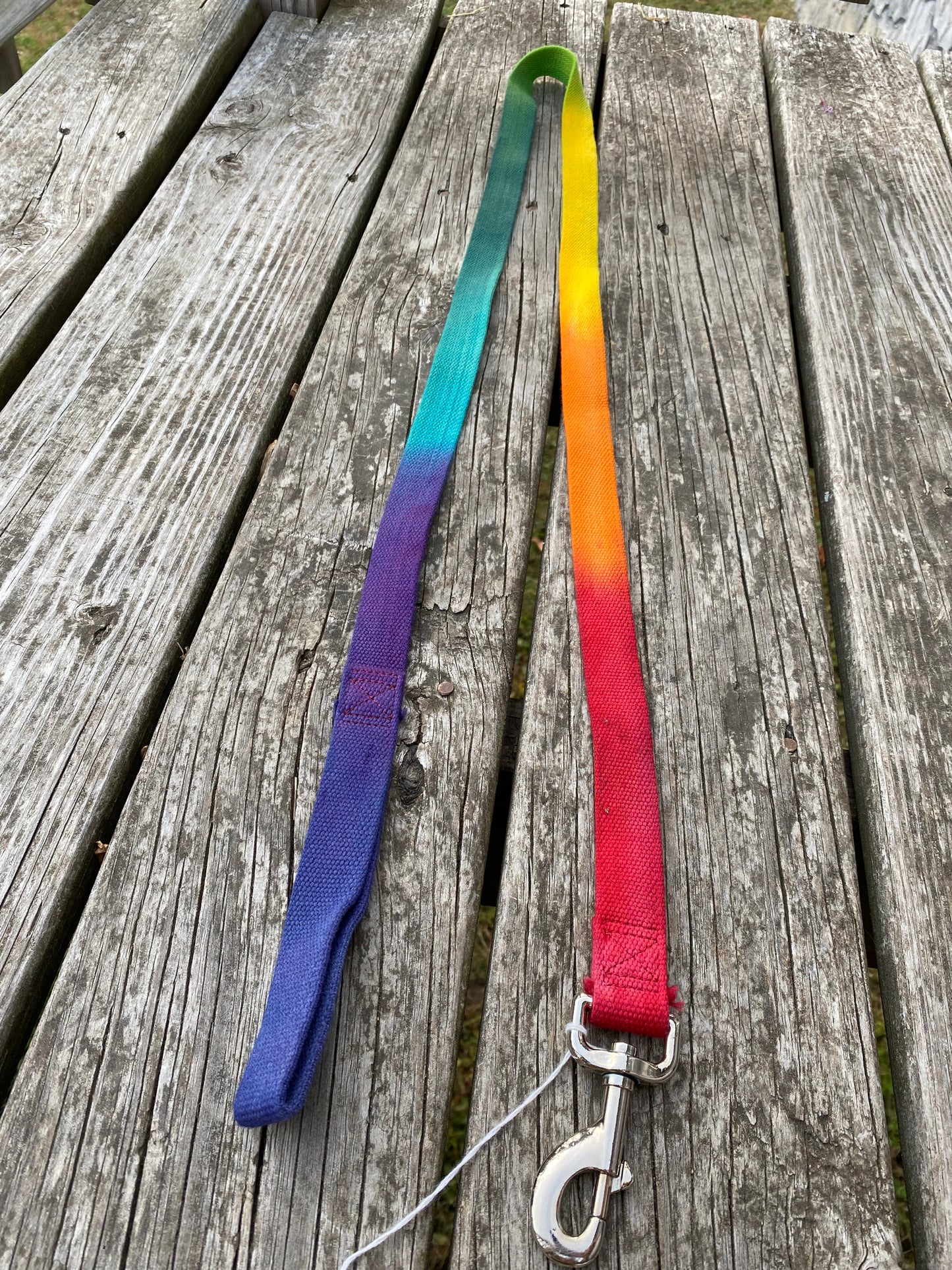 6’ dog leash 1” wide rainbow coastal pet