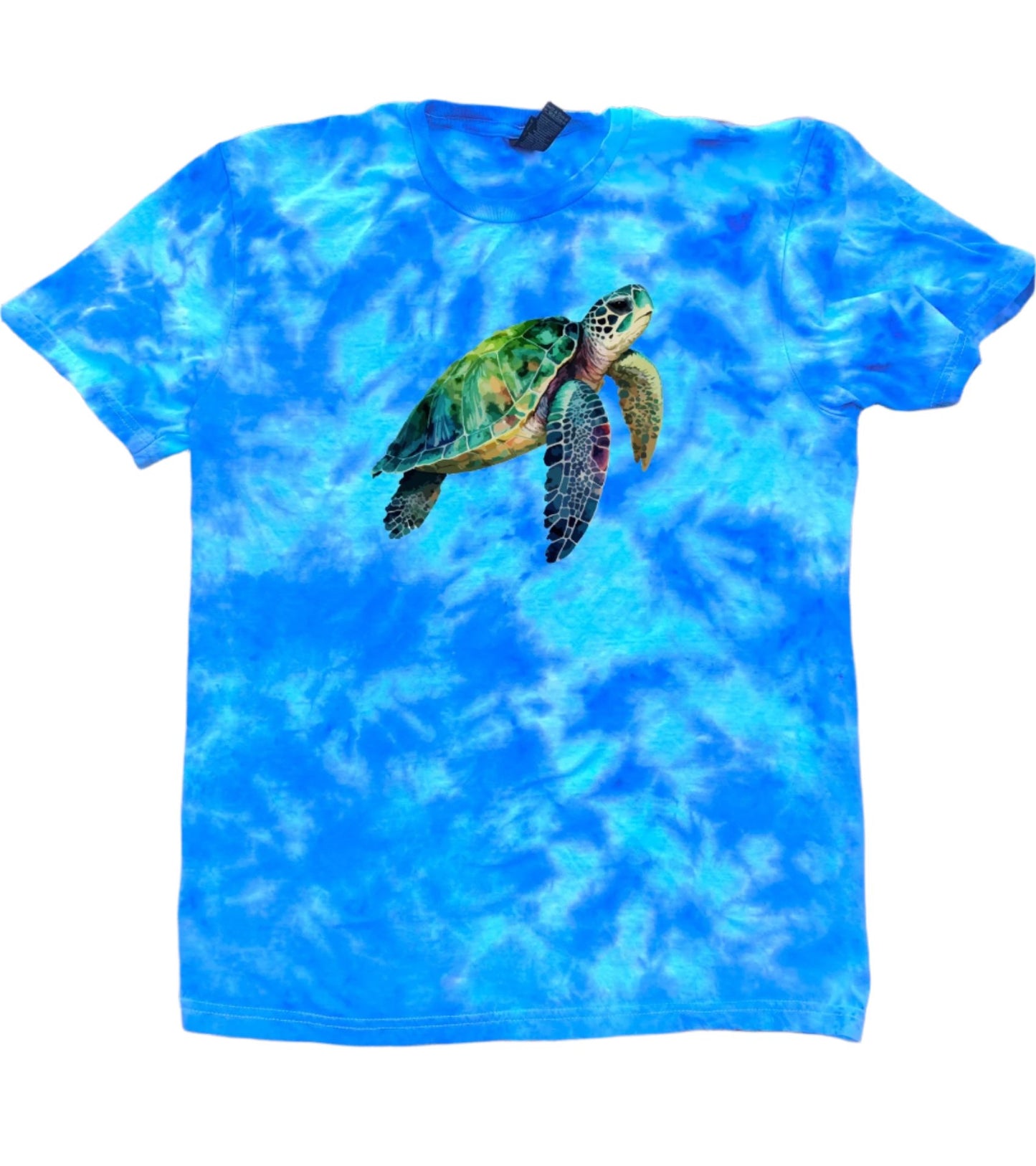 Step 2: Pick Your Print! Sea Turtle