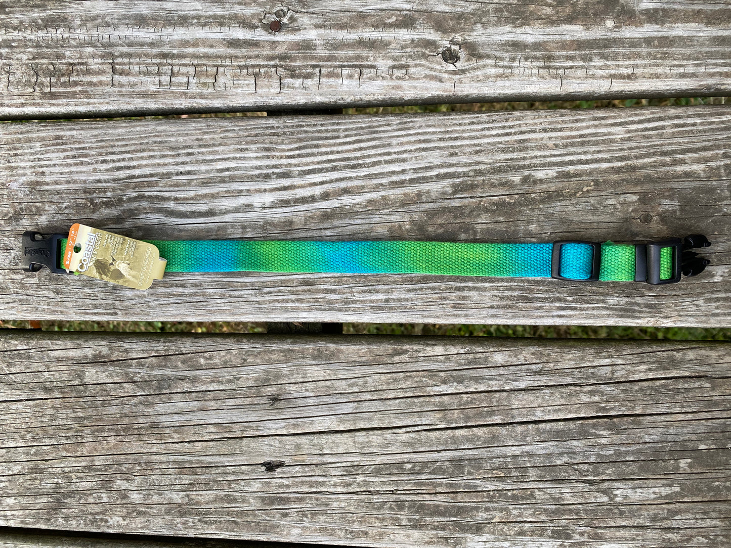 Small dog collar costal pet blue and greens
