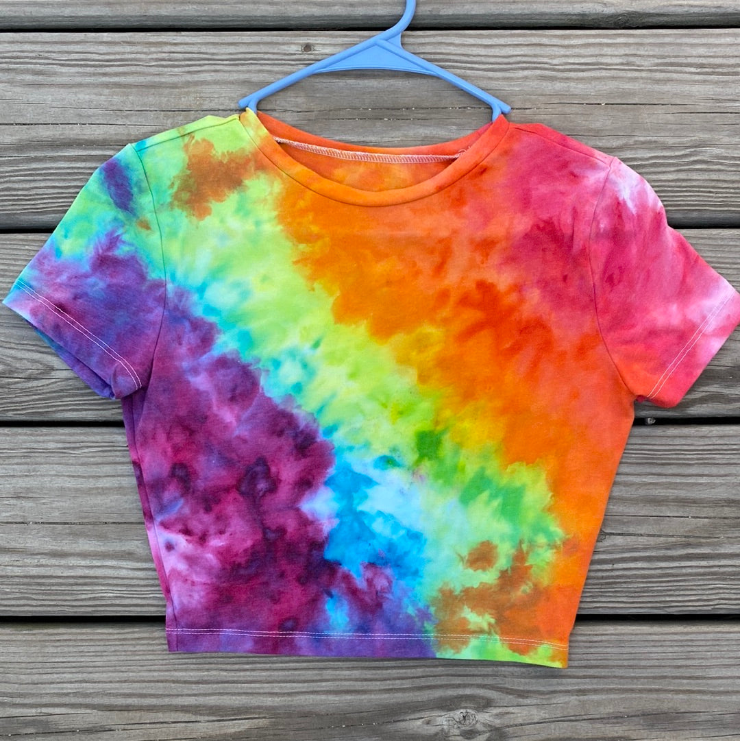 Wild fable small crop top rainbow scrunch
