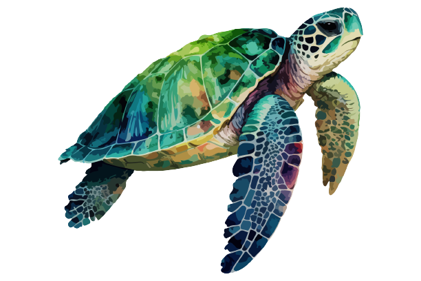 Step 2: Pick Your Print! Sea Turtle