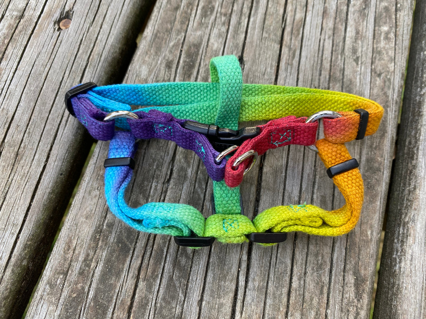 XS dog harness coastal pet rainbow